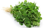 Fresh Methi Leaves/Fenugreek Leaves - வெந்தய கீரை 1bund