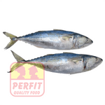 Frozen Indian mackerel-கானாங்கெளுத்தி-Kanangeluthi - 1000g